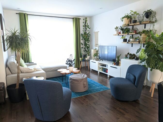 Best indoor plants for small apartments