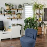 Easy-care Low-light Indoor Plants