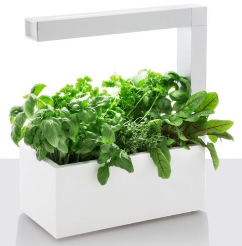 Smart Herb Garden Kit Reviews