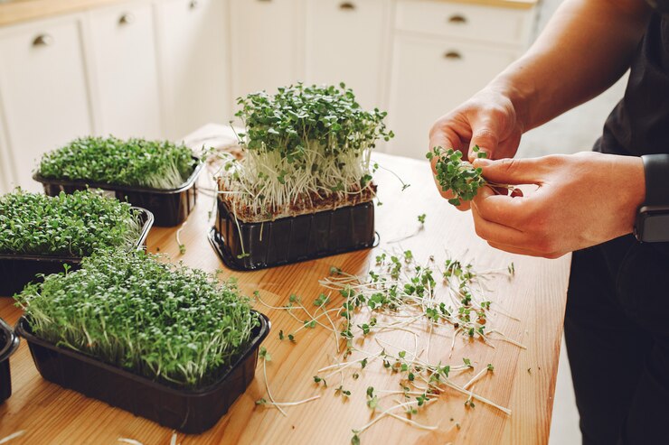 How to Set Up a Smart Herb Garden