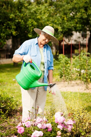 Watering Tips for Garden