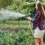 Watering Tips for Garden