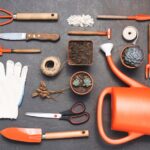 Essential Gardening Tools for Beginners