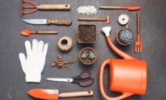 Essential Gardening Tools for Beginners