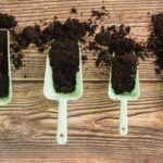 How to Prepare Soil for Gardening