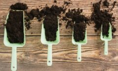 How to Prepare Soil for Gardening