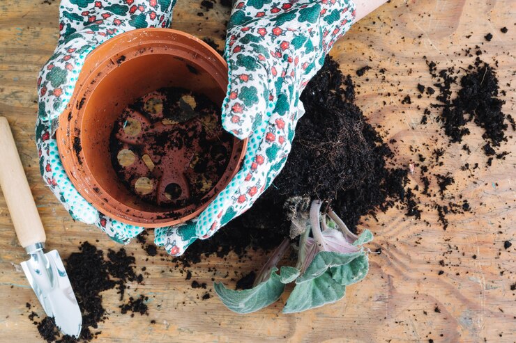 How to Prepare Soil for Gardening